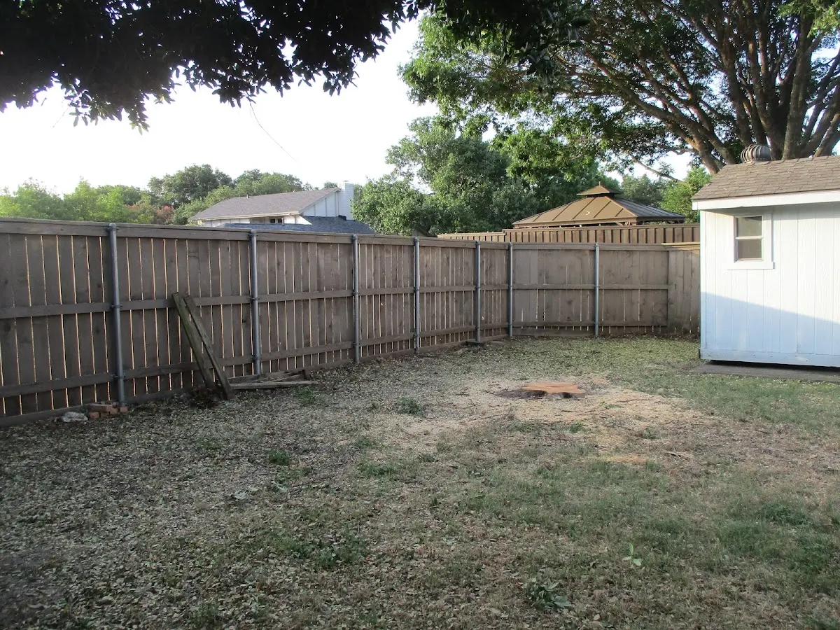 Cleared yard after professional tree removal in Epworth