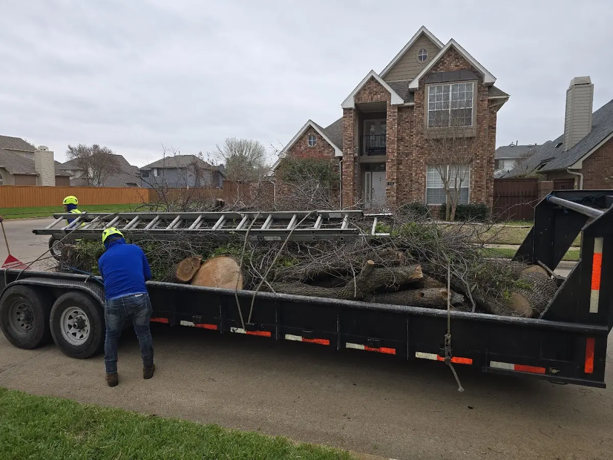Expert Tree Removal with proper safety equipment in Epworth